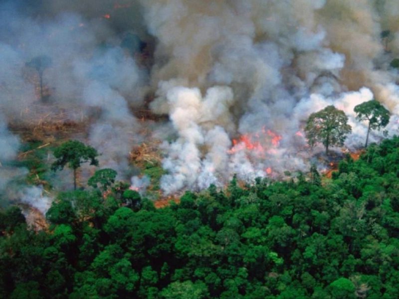 “This girl is on fire”: the Amazon rainforest is burning out! (by A. Giovanardi, N. Sousa, D. Palmeri, E. Fregnani)