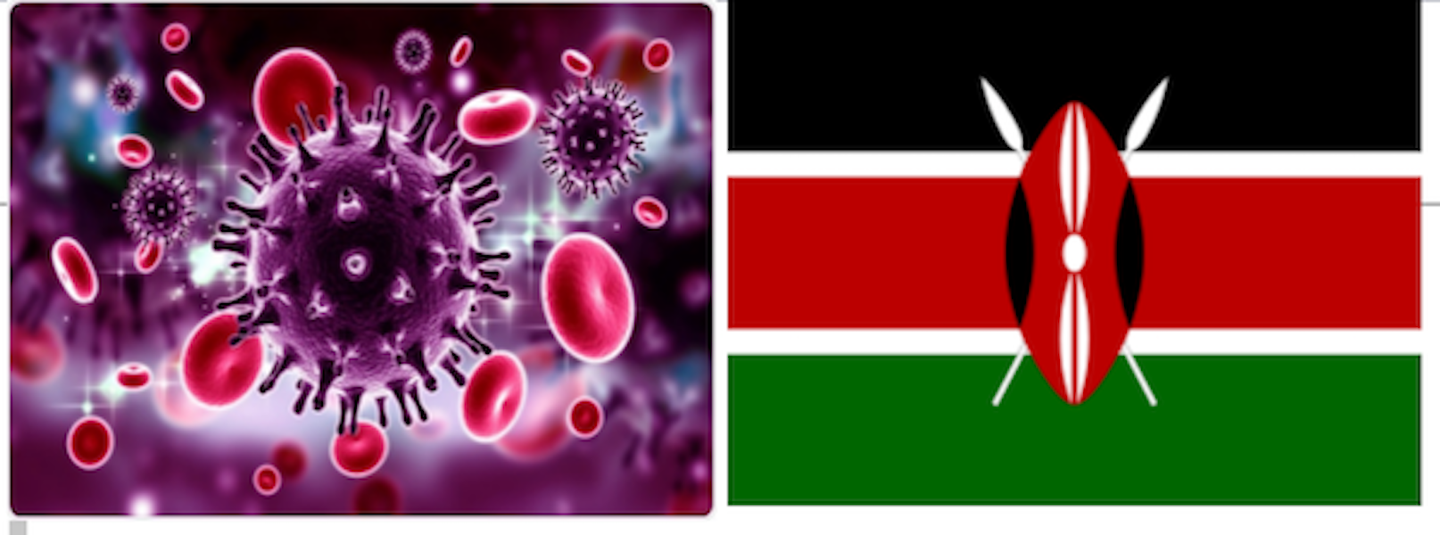 Hiv in Kenya (di S. Cormaci, C. D’Aquila, V. Diaco, M. Pedone, M. Termini)